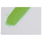 Cartone telato per pittura 20x30